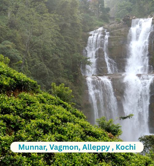 WhatsApp Image 2025-08-02 at 21.07.21