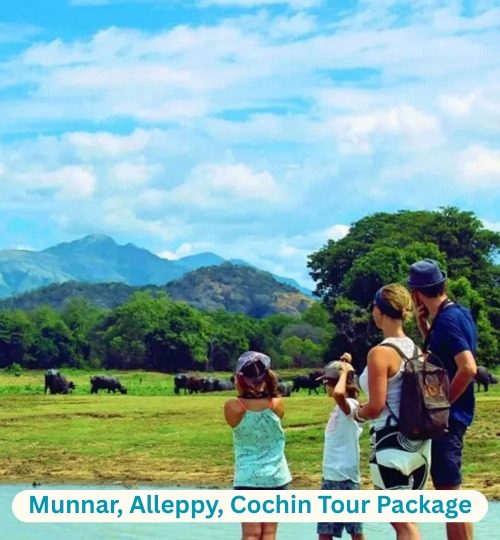 WhatsApp Image 2025-08-03 at 13.38.35